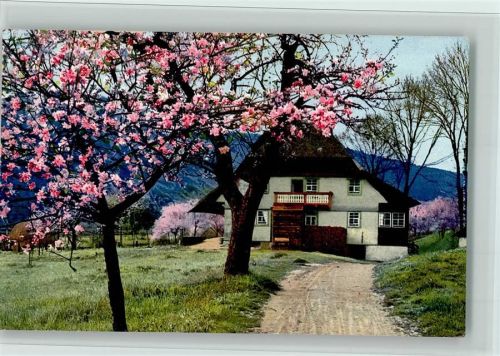 Kirnbach Serie 168 Nr. 2999 , Schwarzwaldhaus - gute Erhaltung AK
