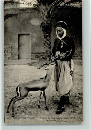 453 Scenes et Types - Officier Indigene de Spahis et sa Gazelle AK
