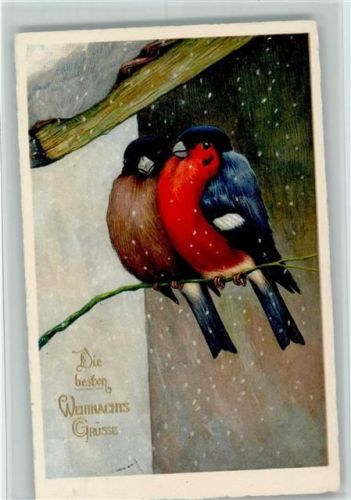 1931 Nr. 2662 Weihnachten - Singvögel, es schneit AK