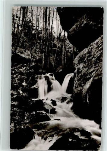 Zwingenberg Wolsschlucht Wildbach