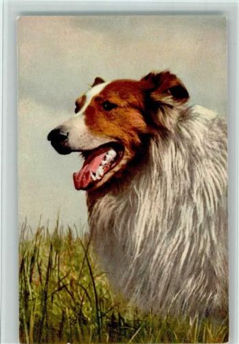 Nr. 158 Collie - Edition Stehli , gute Erhaltung