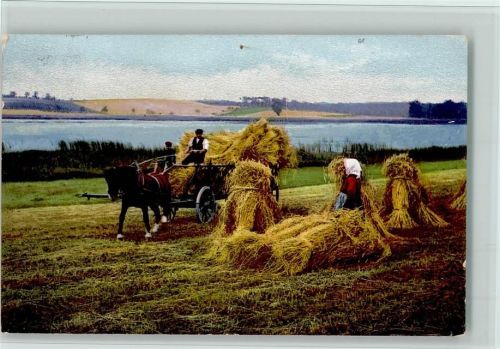 Serie 154 Nr. 2834 - Landwirtschaft, Ährenernte - gute Erhaltung AK