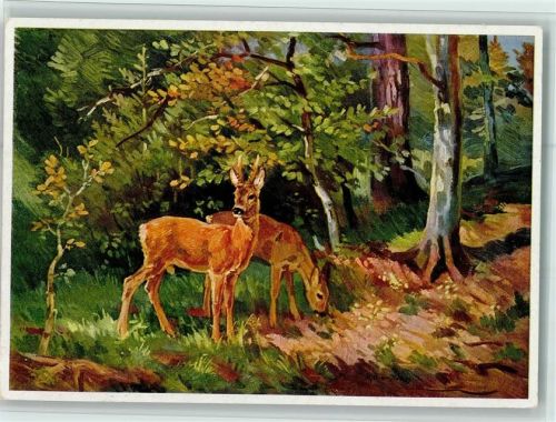 Kunstverlag Nr. 7037 Michel Bildkunst Reihe - sign Keller-Kühne - Waldtiere
