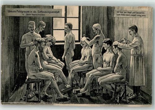 Unsere Feldfrauen in der Entlausungsanstalt Nr 4 Beim Haareschneiden Karte Nr 506