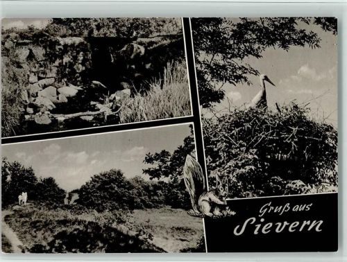 Sievern Storchennest Storch Natur 3-Bildaufnahme