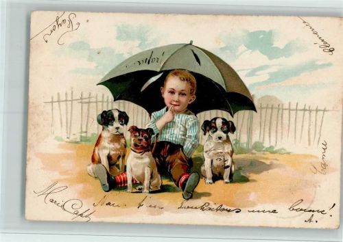 1904 Verlag P.F.B. Serie 3041 - Junge mit Regenschirm und Hundewelpen AK Flecke