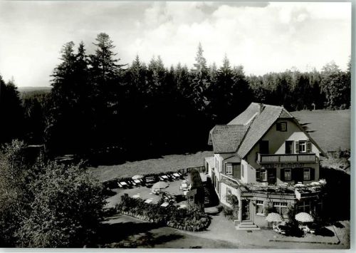 Zwieselberg Hotel Tannenhof Foto Metz