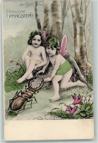 1900 Borkenkäfer Insekten Pfingsten