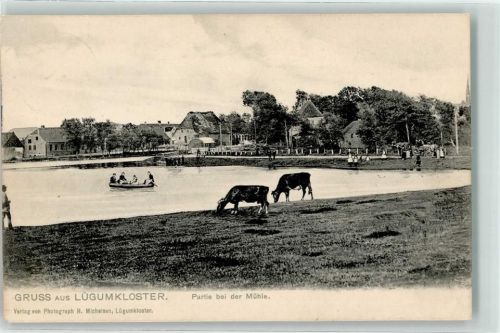 Lügumkloster 1907 bei der Mühle Kühe