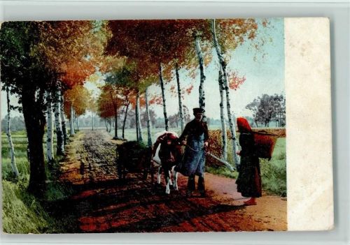 Nr. 1101 - Bauer mit Kuh, Bäuerin mit einer Kiepe - Landwirtschaft AK
