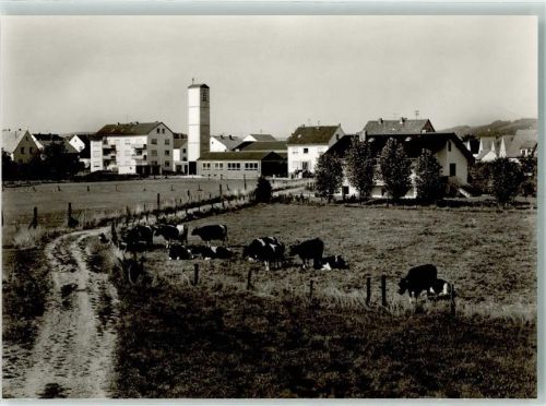 Rothenbergen