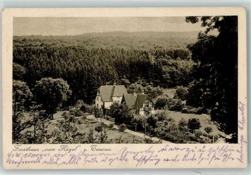 Idstein 1912 Forsthaus Vom Flügel