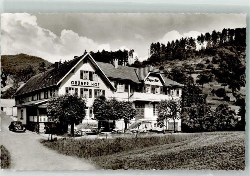 Gernsbach Gasthaus Pension Grüner Hof VW Käfer