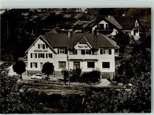 Hilpertsau Hotel Grüner Hof Auto