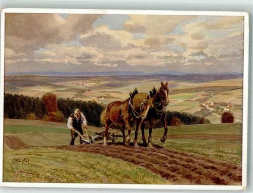 Landwirtschaft Bau beim Pflügen Tiergespann Verlag Ackermann Nr. 4183