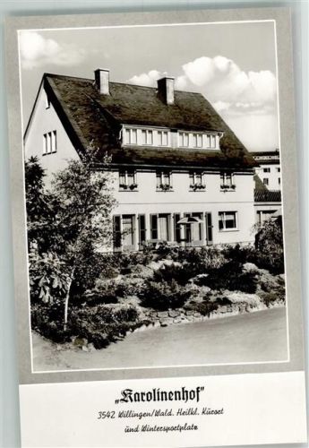 34508 W3542 Willingen (Upland) , Waldeck - Pension Karolinenhof