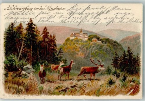 07427 O6825 Schwarzburg 1901 Lithographie Jagdtiere Hirsch Rehe Hirschwiese