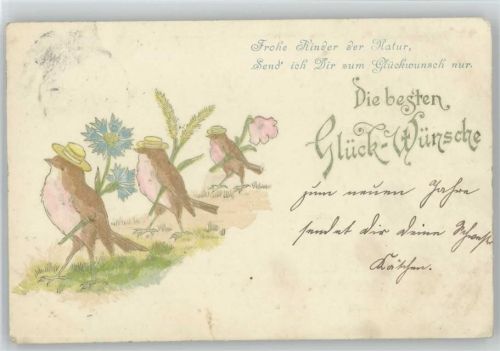 Vögel mit Hut - 1899 AK