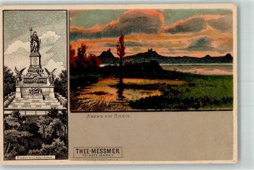 Rüdesheim Niederwald- Denkmal Abend am Rhein Webung Tee-Messmer
