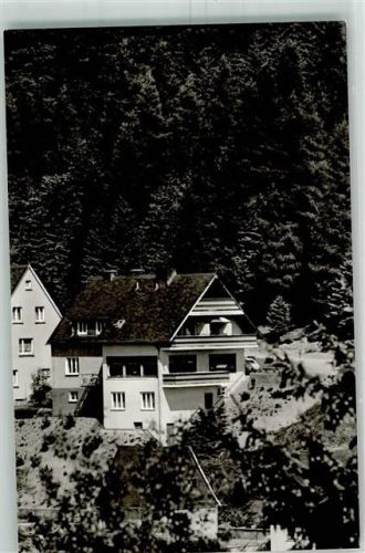 Schwalefeld Pension Haus Lärchenhain