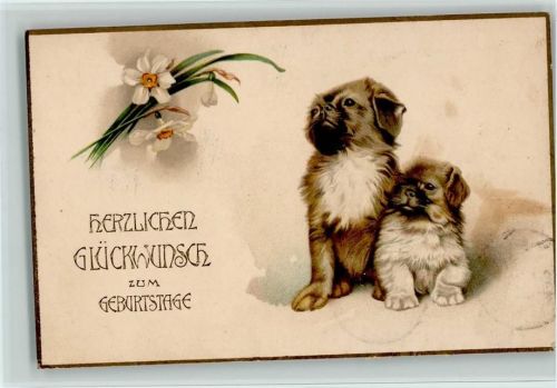 Geburtstag - zwei Pikinesen 1917 AK