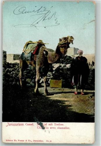Jerusalem Tracht Kamel
