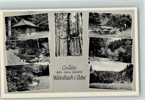 Weisbach Ortsansichten Wald Mehrfachaufnahme