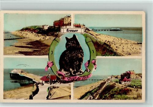 Cromer East Cliff The Beach The Pier West Promenade Cat
