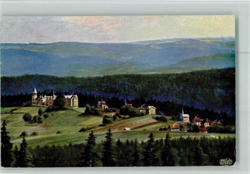 Finsterbergen Wiedemanns Künstlerpostkarte Wiro Serie Finsterbergen Nr. 9484A Kurhaus Felsenstein