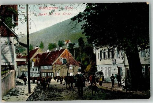 Wildemann 1908 Ort lt. Stempel Kühe Beruf Hirte