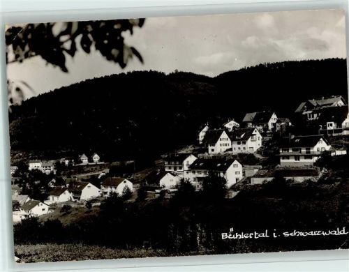 Bühlertal Teilansicht