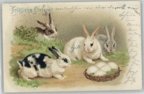 1901 Kaninchen mit weißen Eiern