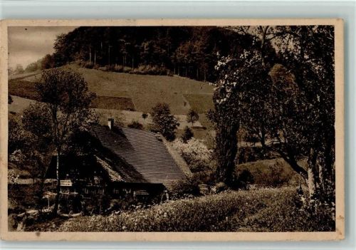 Gutach Schwarzwald-Idyll Hasenbauer im Sulzbächle
