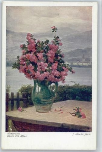 Blumenvase auf dem Gartentisch - Alpenrosen - Wiener Kunst nr. 203-1 AK