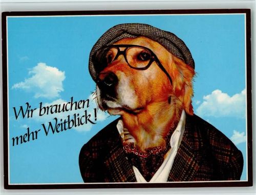 Hunde vermenschlicht - Hund mit Brille und Jacket