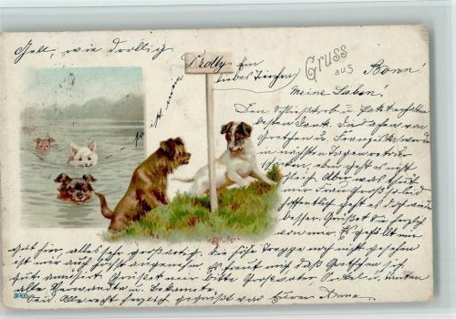 Hunde baden , litho 1900 AK