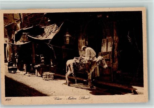 Cairo - Native Street - Esel angebunden - Volksleben , Läden