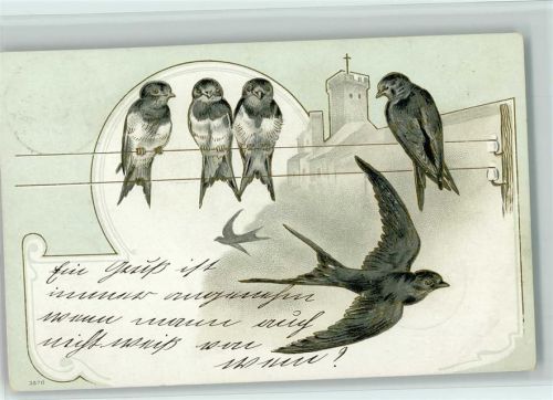 sitzen auf der Stromleitung , Litho 1903 AK