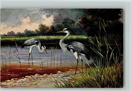 Vögel - Reiher am Teich TSN Serie 827 AK Schönian, A. Künstlerkarte