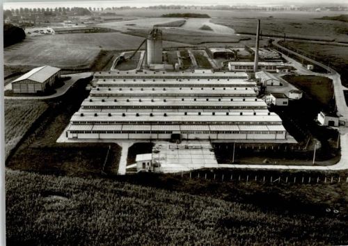 Leezen 1980 Luftaufnahme Luftbildkalender