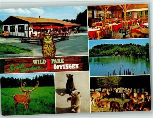 79843 W7827 Löffingen - Wildpark Gaststätte Innenaufnahme Hirsch Bären Mehrfachaufnahme