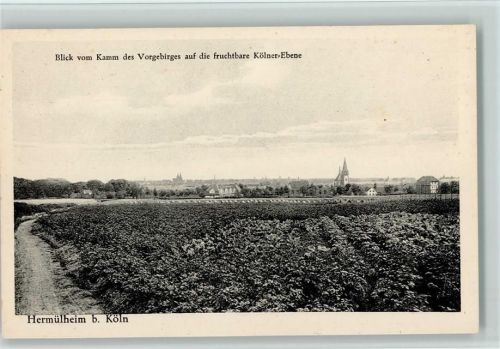 Hermülheim Blick vom Kamm auf die fruchtbare Kölner Ebene ca 1935 AK