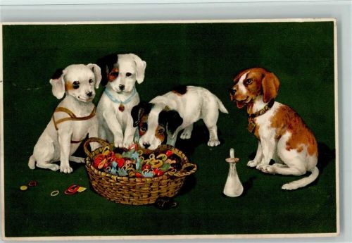 Vier Welpen mit einer Milchflasche - Meissner & Buch Serie 1764 Serie Hunde und Katzen