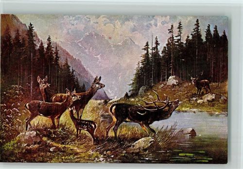 Serie 6981 - Hirschbrunft - der Rivale , Jagdtiere