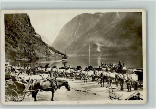 Viele Pferdekutschen warten am See auf Touristen 1942 AK