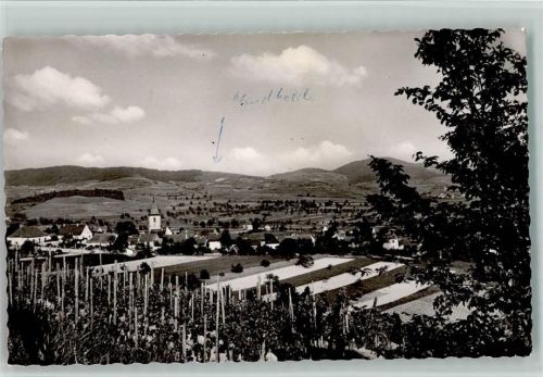 Burkheim Blick nach Burkheim Weinberge