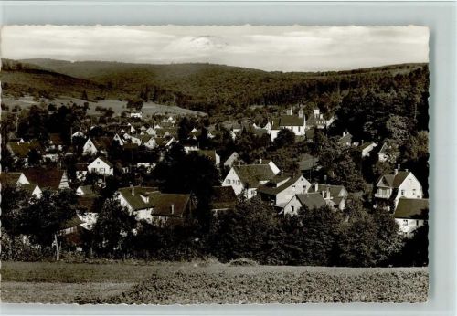 Waldhilsbach Gesamtansicht
