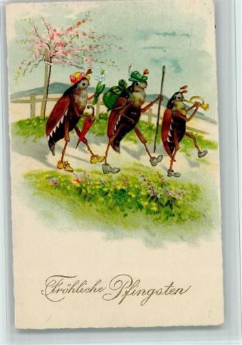 1929 Pfingsten - Vermenschlichte Tiere - Wandern , gute Erhaltung