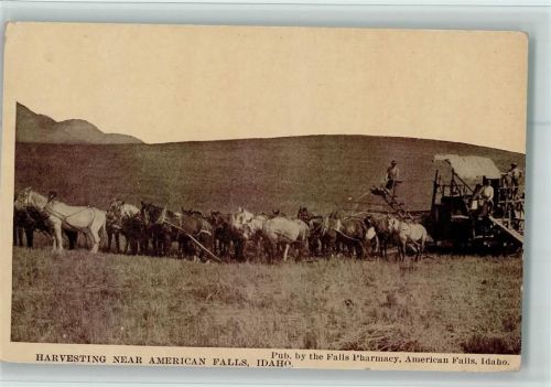 Harvesting near American Falls, Idaho AK