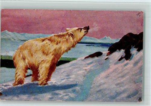 Eisbär - Künstlerkarte AK Bär